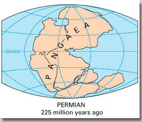 Permian: Pangea