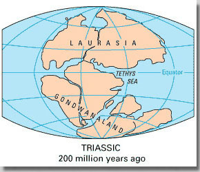 Triassic: Pangea Breakup
