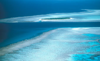 Wistari and Heron Reef