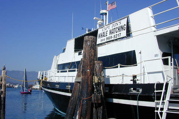 Whale watching boat