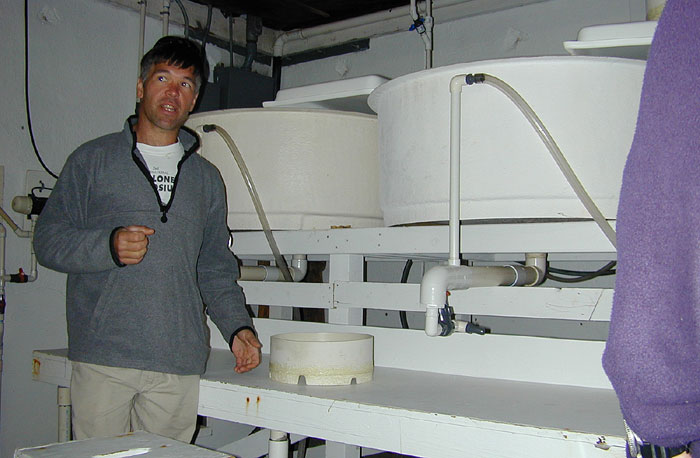 Abalone spawning room