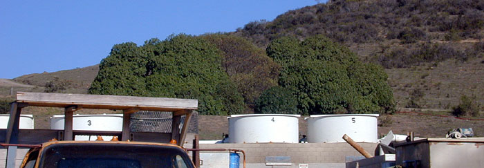 Seawater storage and filters