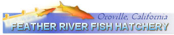 The Feather River Fish Hatchery logo