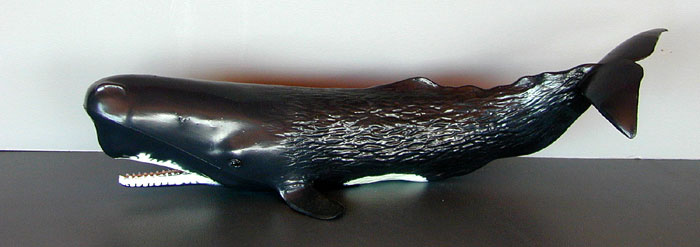 Sperm Whale Model