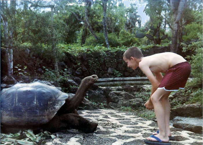 Galapagos giant tortoise