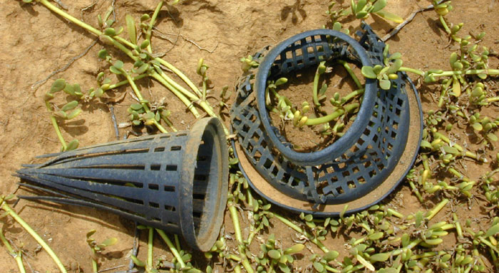 Hagfish trap from Pacific Ocean hagfish fishery