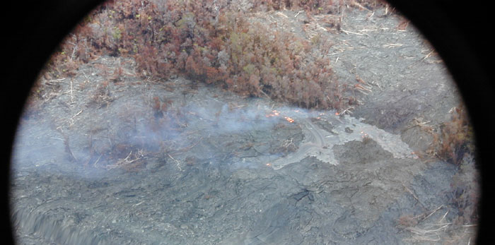 Burning trees due to new lava flow