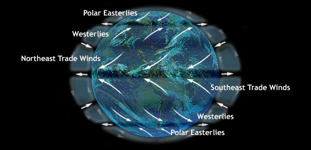 Earth's Surface Winds