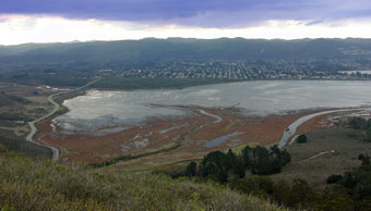 Overall View of Mud Flats