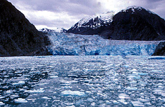 Active Arctic glacier