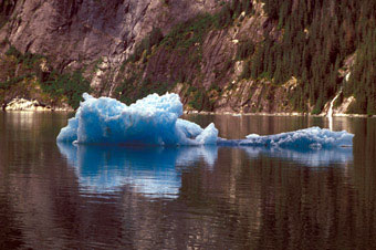 Arctic icebergs in Alaska