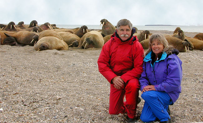 Resting walrus group with the author and her husband, Svalbard, August 2003