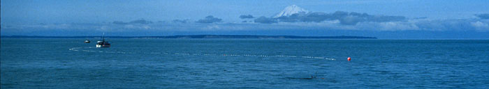 Alaskan gillnetter with net set