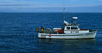 Alaskan gillnetter pulling in his net, showing his catch