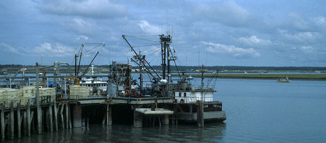 Commercial salmon boats