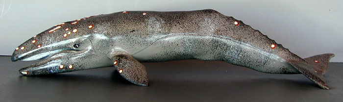 Gray Whale Model
